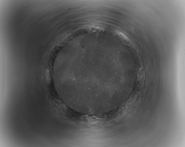 X0000089760774200706211543