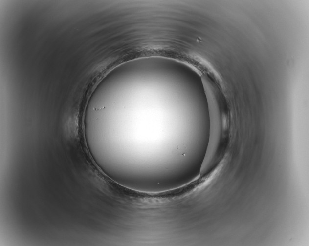 X0000089760777200706211543