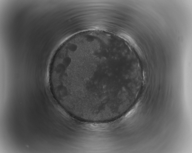 X0000089760780200706211543