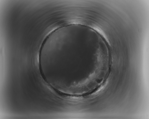X0000089760790200706211542