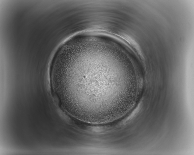 X0000089760792200706211542