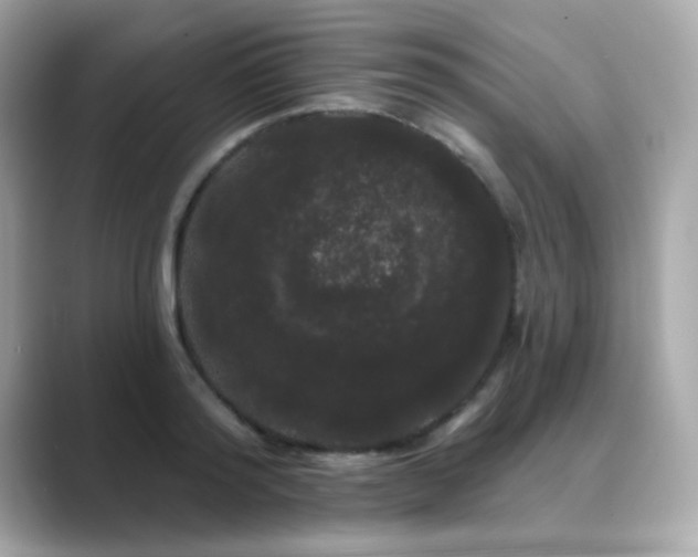 X0000089760796200706211542