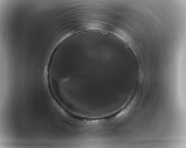X0000089760798200706211542