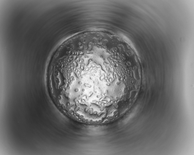 X0000089760803200706211542