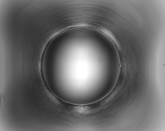 X0000089760805200706211542