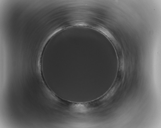 X0000089760806200706211542