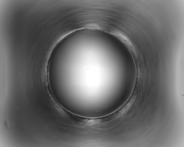 X0000089760808200706211542
