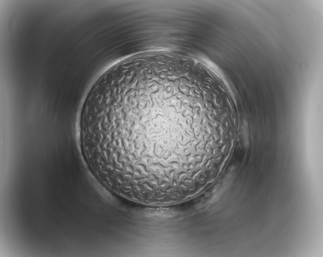 X0000089760811200706211542
