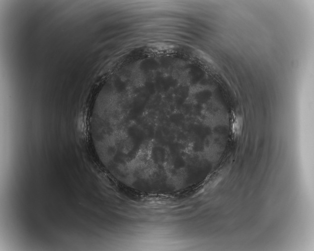 X0000089760819200706211542