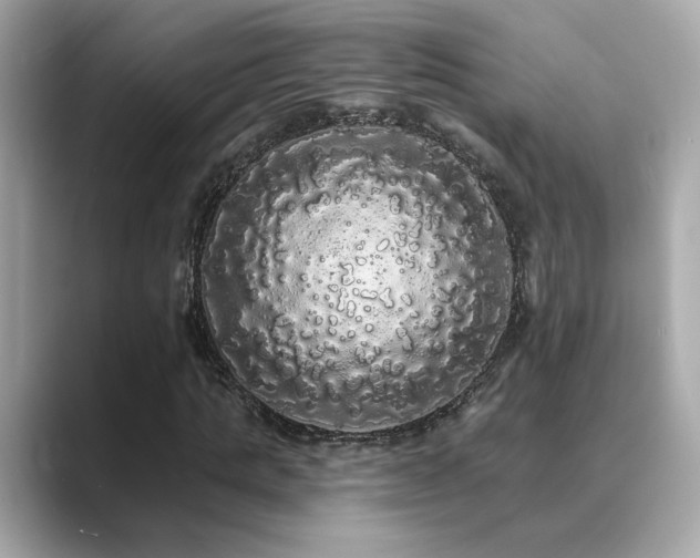X0000089760821200706211542