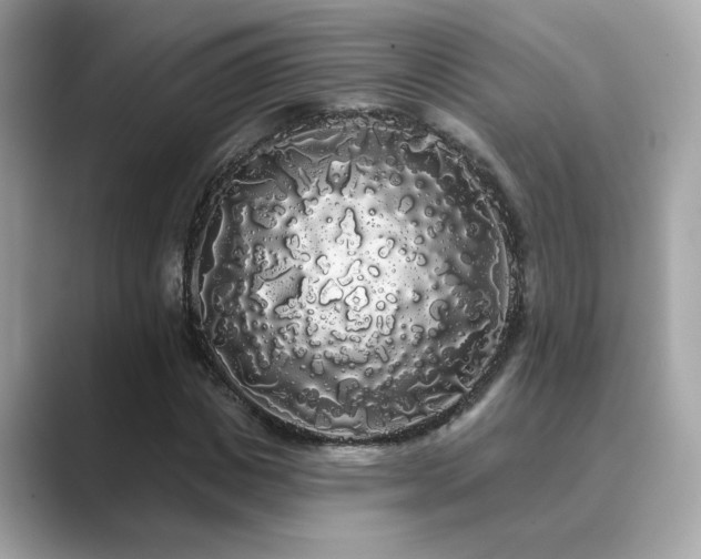 X0000089760825200706211542