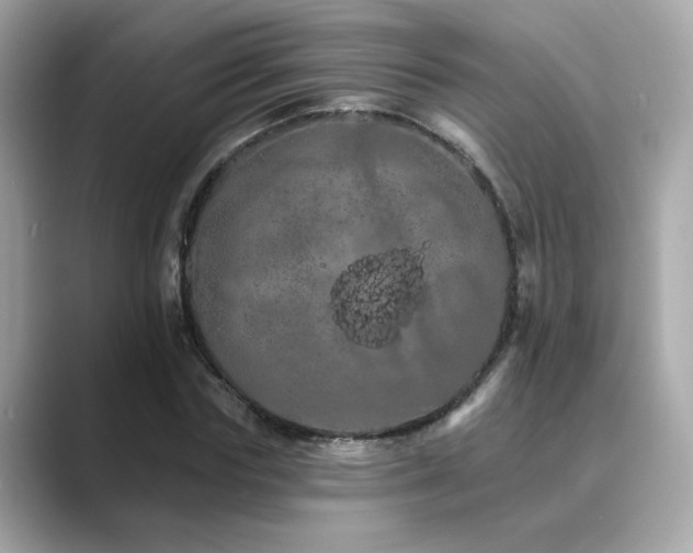 X0000089760827200706211542
