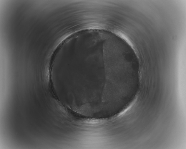 X0000089760829200706211542