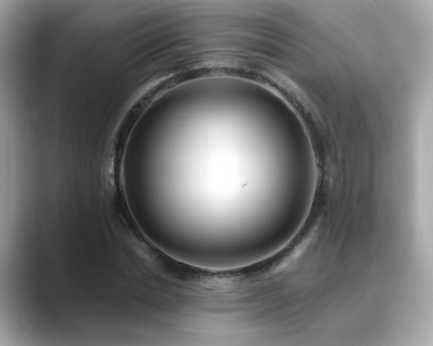 X0000089760830200706211542