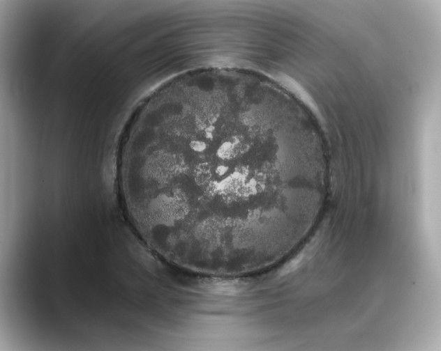 X0000089760831200706211542