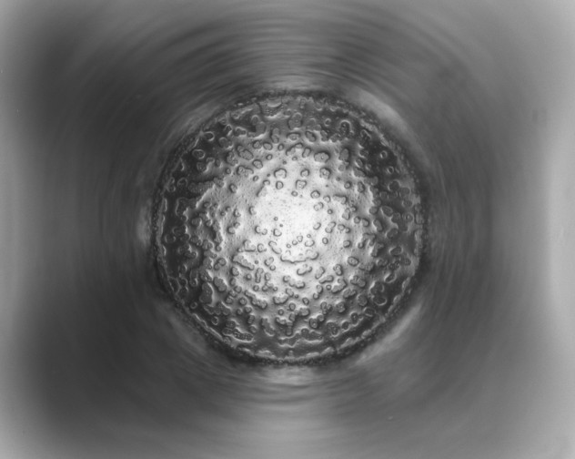 X0000089760833200706211542