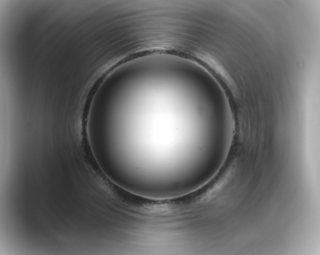 X0000089760834200706211542