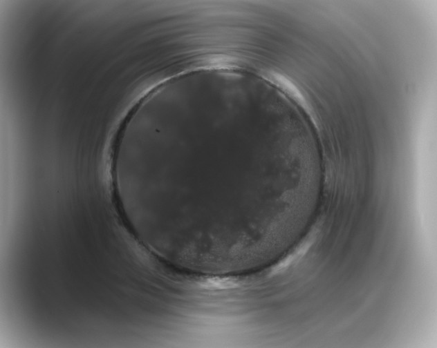 X0000089760835200706211542