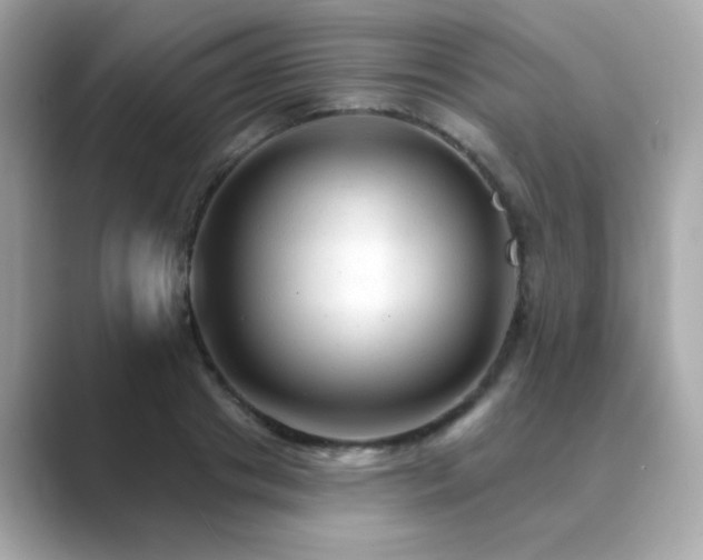 X0000089760841200706211542