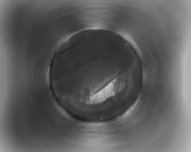 X0000089760842200706211542