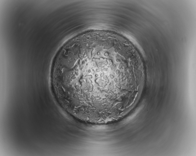 X0000089760845200706211542