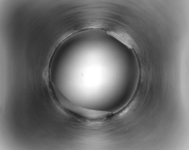 X0000089760850200706211542
