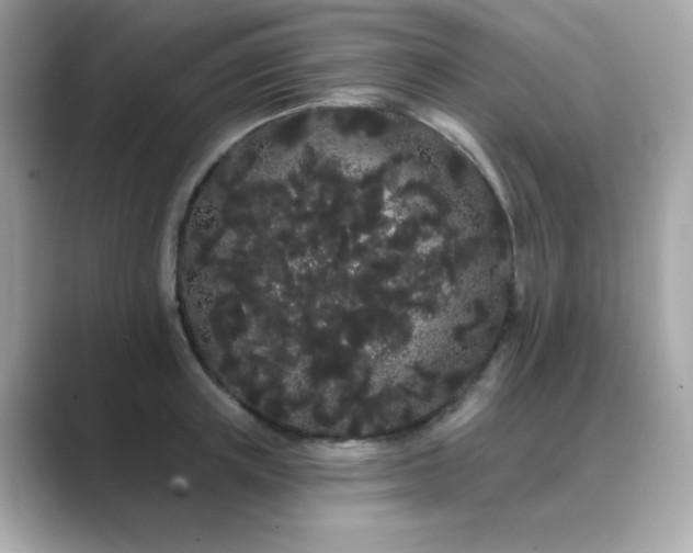 X0000089760851200706211542