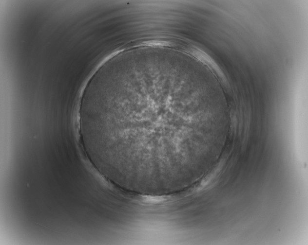 X0000089760852200706211542