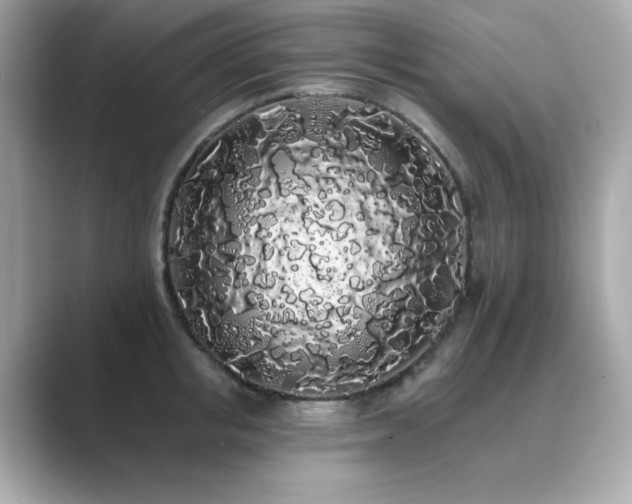 X0000089760853200706211542
