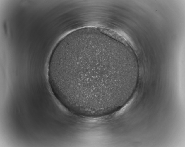 X0000089760854200706211542