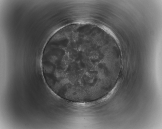 X0000089760855200706211542