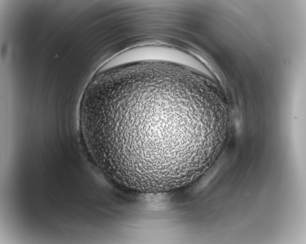 X0000089760858200706211542