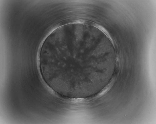 X0000089760859200706211542