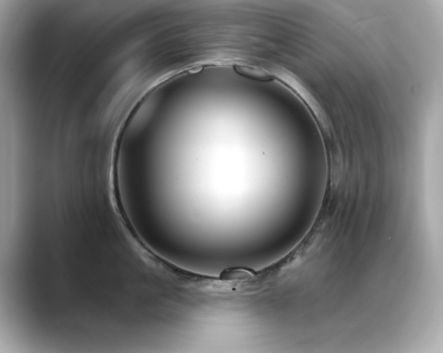 X0000089760861200706211542
