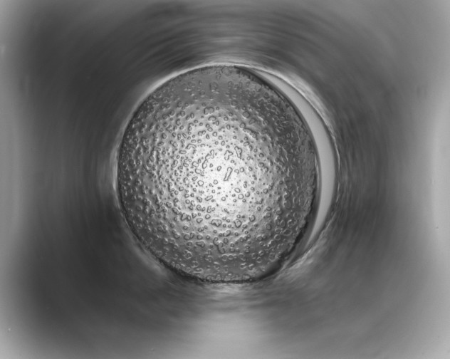 X0000089760862200706211542