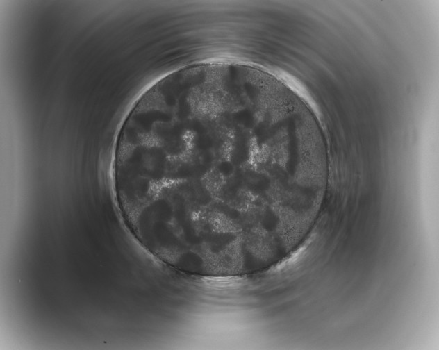 X0000089760863200706211542