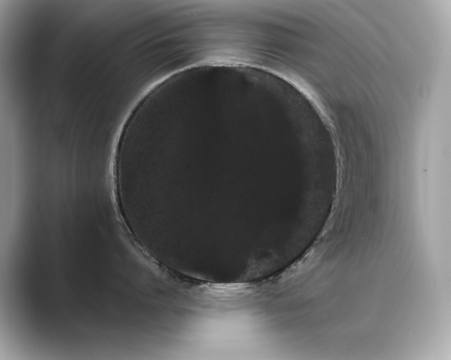 X0000089760864200706211542