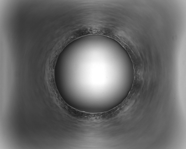 X0000089760865200706211542
