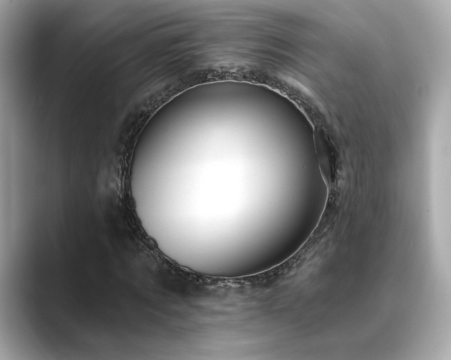 X0000089760869200706211542