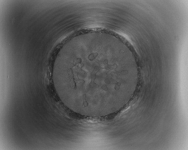 X0000089760871200706211542
