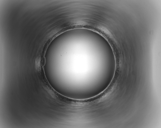 X0000089760873200706211542