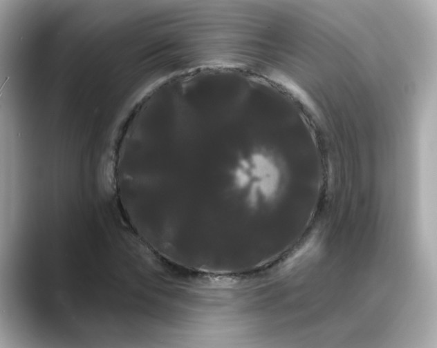 X0000089760878200706211541