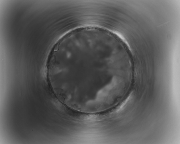 X0000089760879200706211541