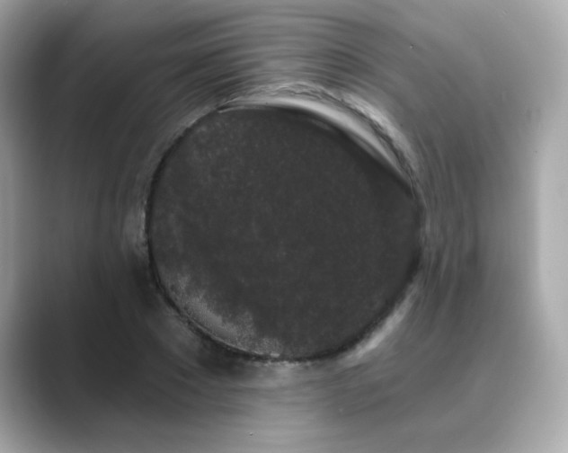 X0000089760881200706211541
