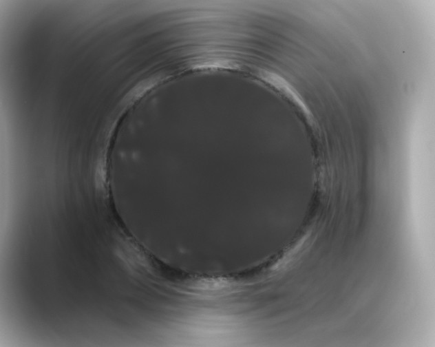 X0000089760882200706211541