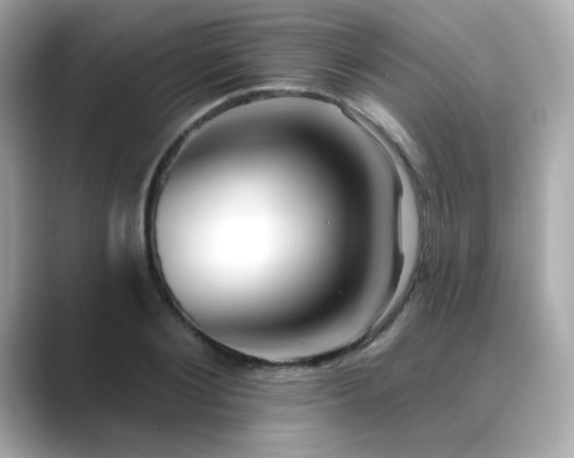 X0000089760884200706211541