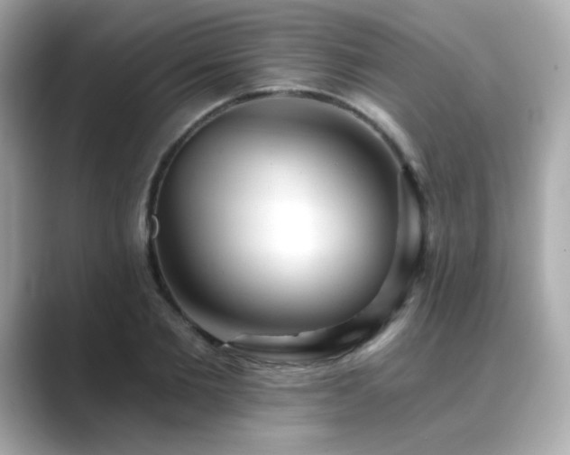 X0000089760885200706211541