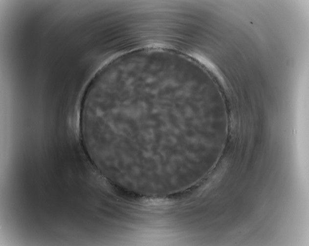 X0000089760886200706211541