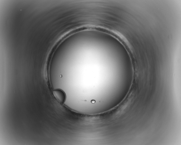X0000089760887200706211541