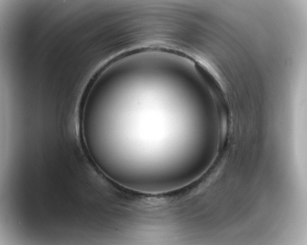 X0000089760888200706211541